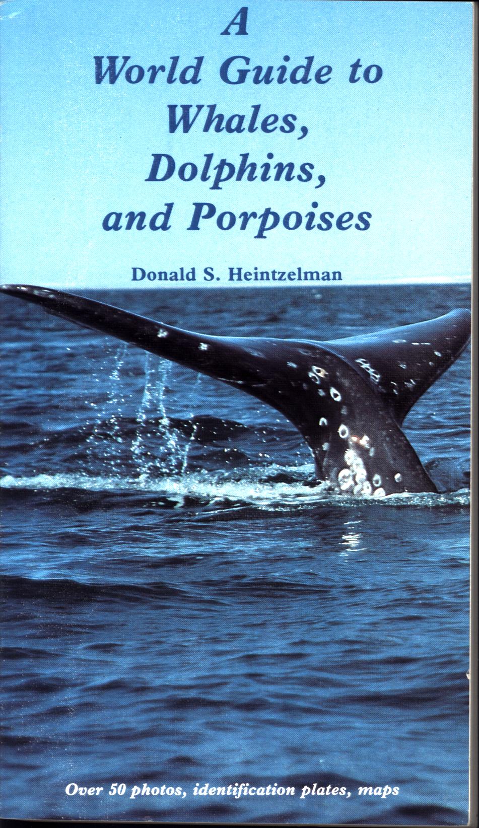 A WORLD GUIDE TO WHALES, DOLPHINS, AND PORPOISES. 